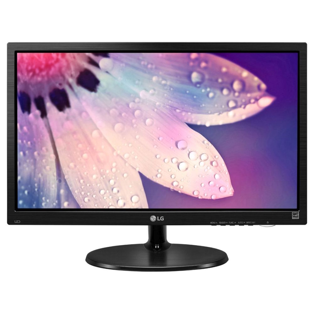 LG 19M38AB 46.99 cm Monitor